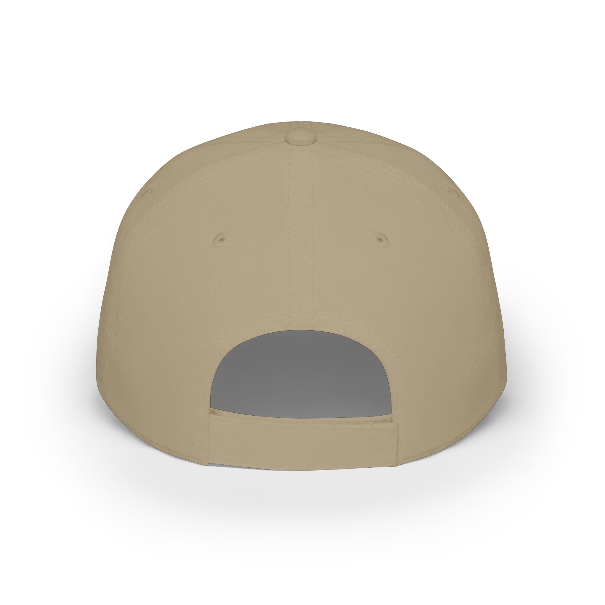 CATHOLIC SCHOOL SURVIVOR Baseball Cap