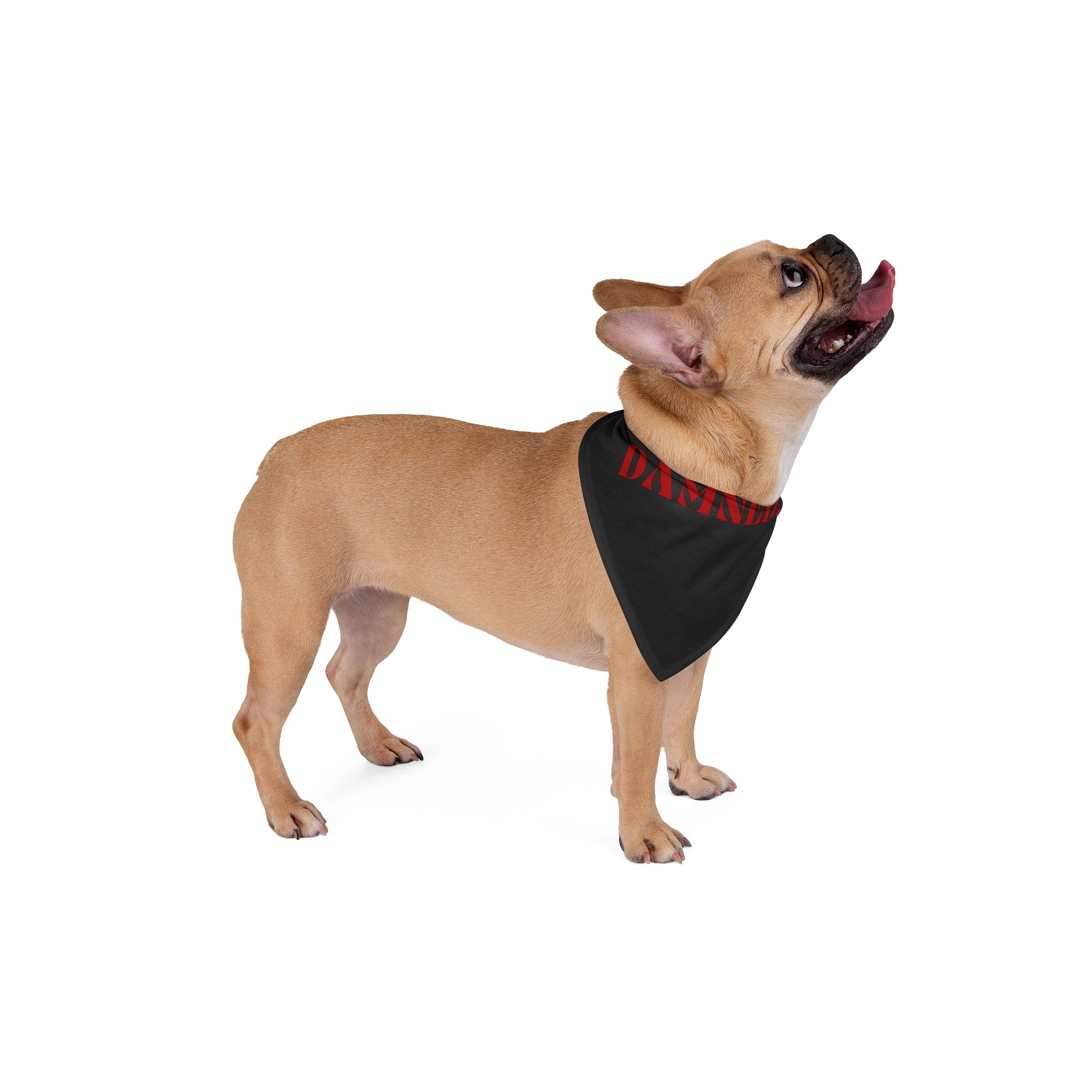 J-Pet DAMNED Bandana