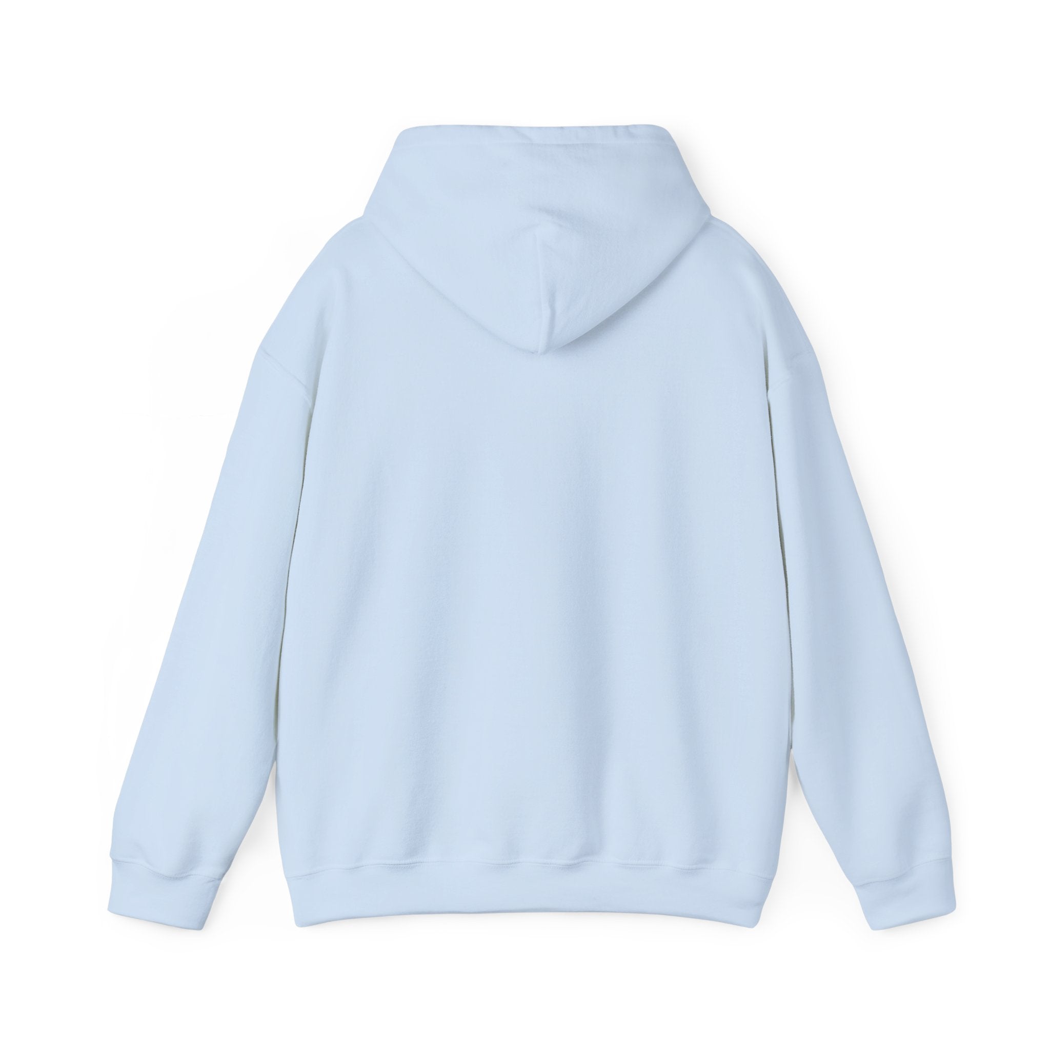 CATHOLIC SCHOOL SURVIVOR Hoodie