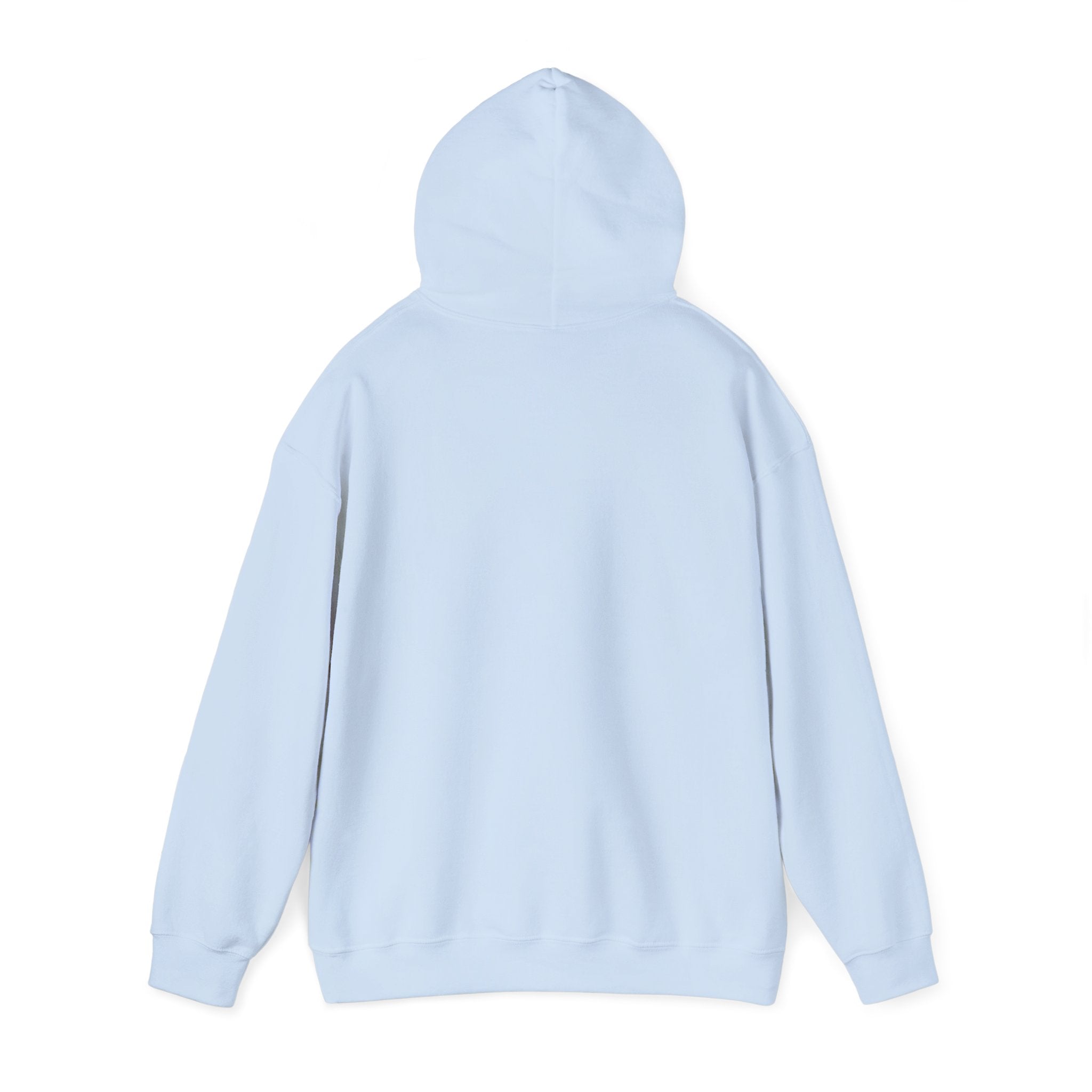 CATHOLIC SCHOOL SURVIVOR Hoodie